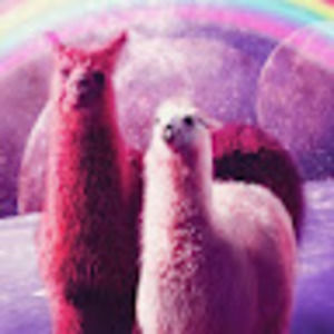 Meet your Posher, Brynleigh